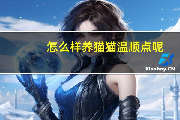 怎么样养猫猫温顺点呢