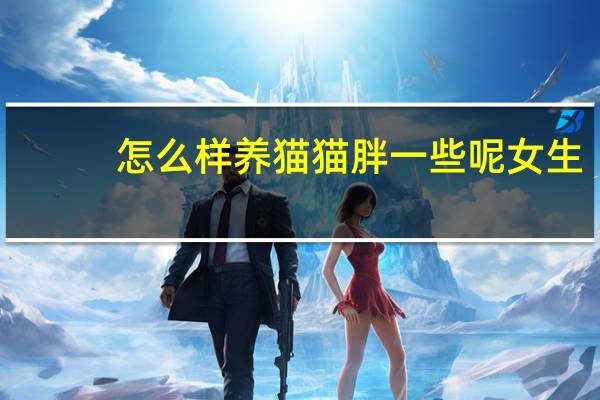 怎么样养猫猫胖一些呢女生