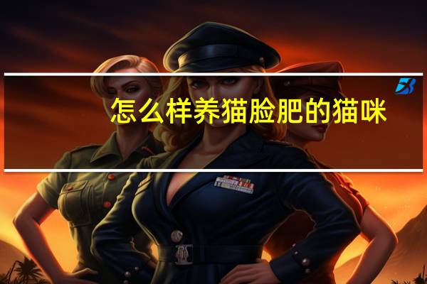 怎么样养猫脸肥的猫咪