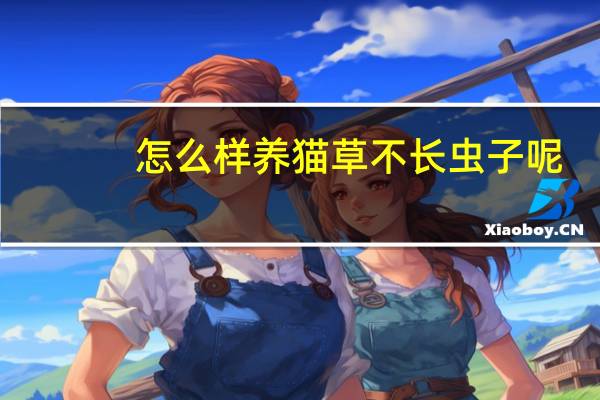 怎么样养猫草不长虫子呢