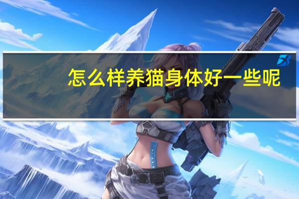 怎么样养猫身体好一些呢