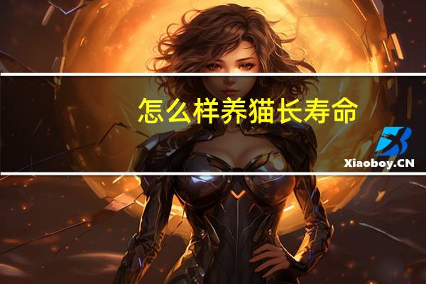 怎么样养猫长寿命