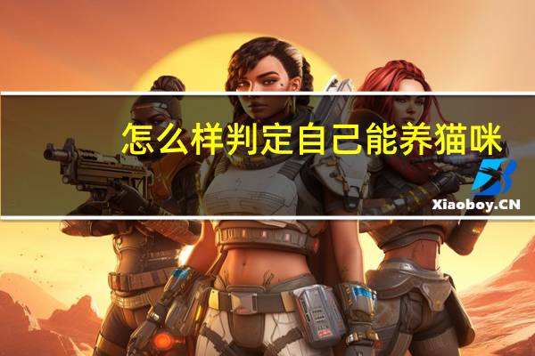 怎么样判定自己能养猫咪