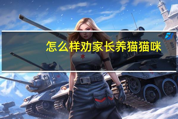 怎么样劝家长养猫猫咪