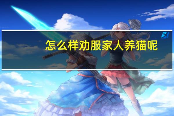 怎么样劝服家人养猫呢