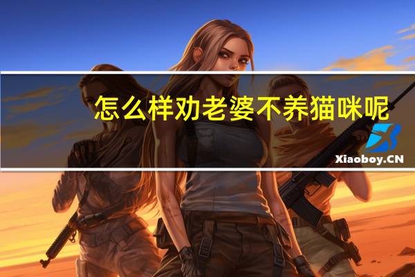 怎么样劝老婆不养猫咪呢