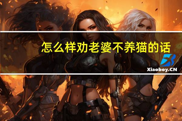 怎么样劝老婆不养猫的话
