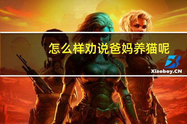 怎么样劝说爸妈养猫呢