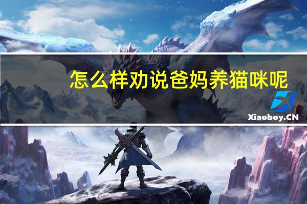 怎么样劝说爸妈养猫咪呢