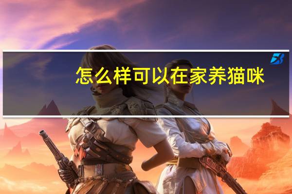 怎么样可以在家养猫咪