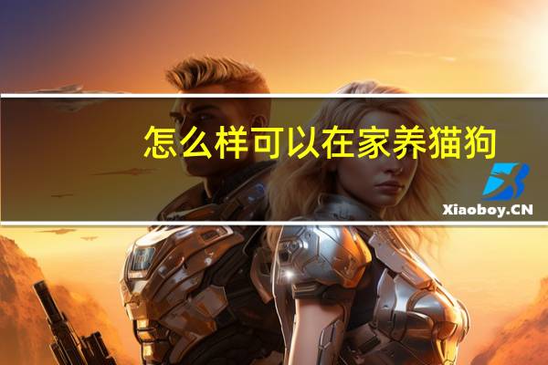 怎么样可以在家养猫狗