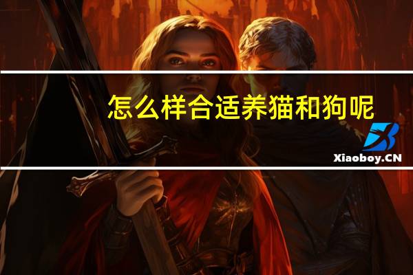 怎么样合适养猫和狗呢