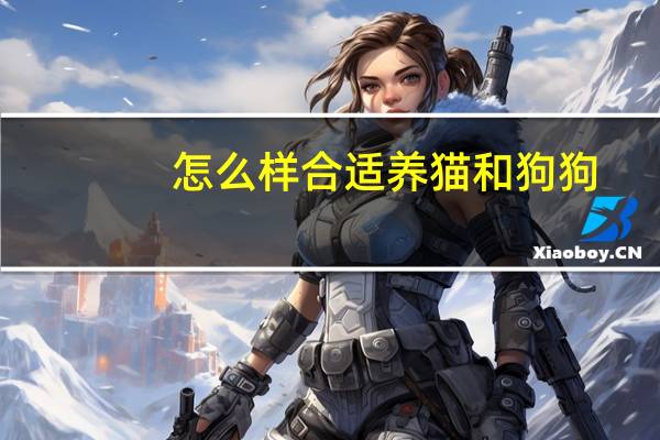 怎么样合适养猫和狗狗