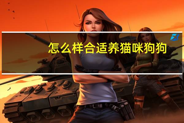 怎么样合适养猫咪狗狗