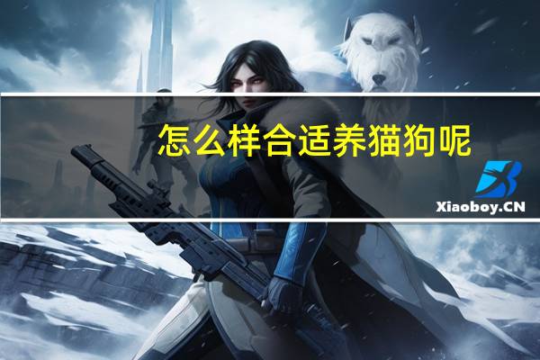 怎么样合适养猫狗呢