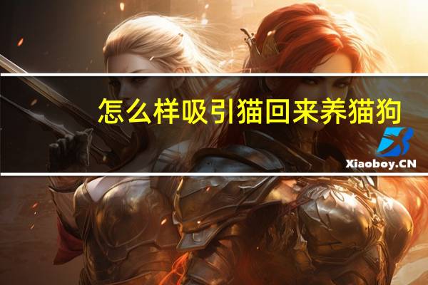 怎么样吸引猫回来养猫狗