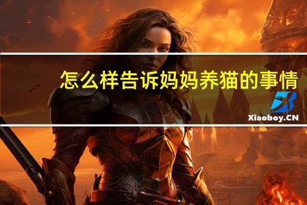 怎么样告诉妈妈养猫的事情