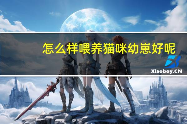 怎么样喂养猫咪幼崽好呢