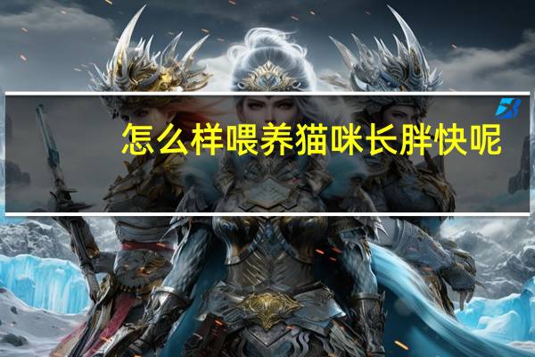 怎么样喂养猫咪长胖快呢