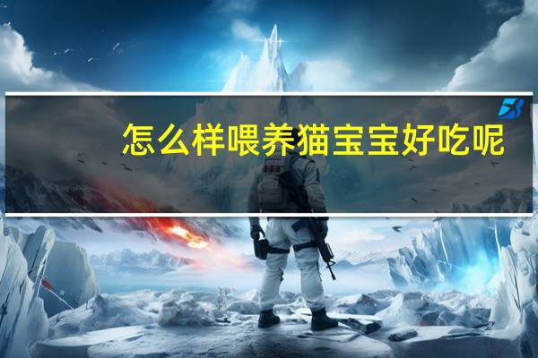 怎么样喂养猫宝宝好吃呢