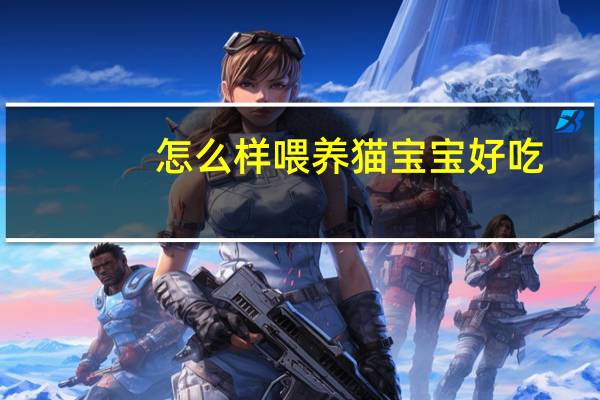 怎么样喂养猫宝宝好吃