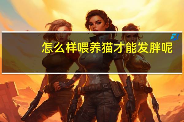 怎么样喂养猫才能发胖呢