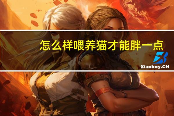 怎么样喂养猫才能胖一点