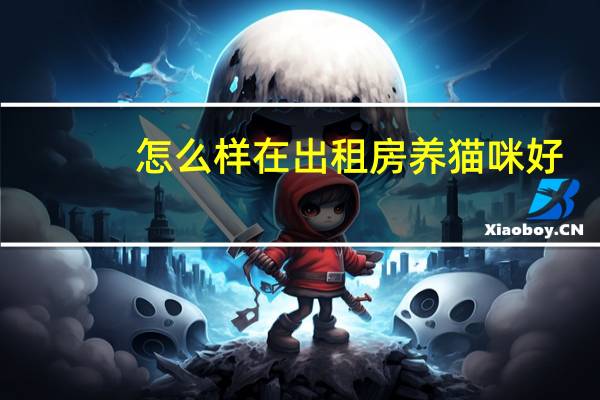 怎么样在出租房养猫咪好