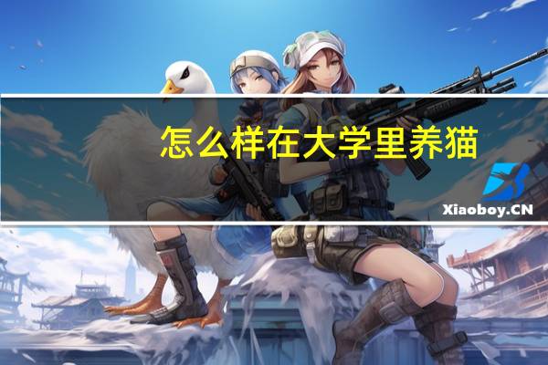 怎么样在大学里养猫