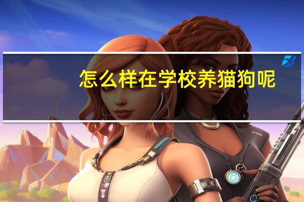 怎么样在学校养猫狗呢