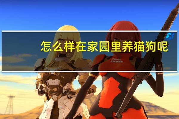 怎么样在家园里养猫狗呢