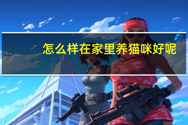 怎么样在家里养猫咪好呢