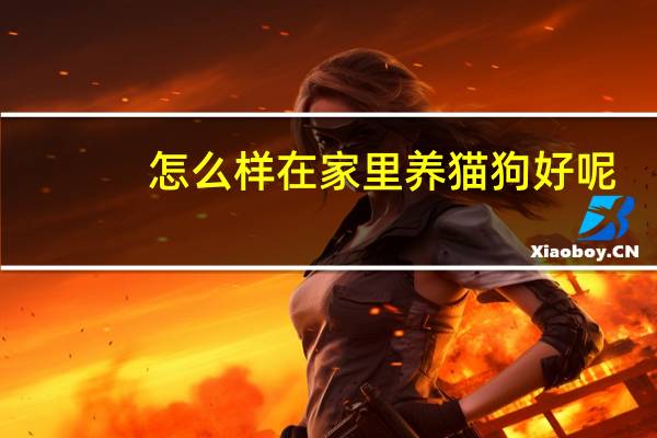 怎么样在家里养猫狗好呢