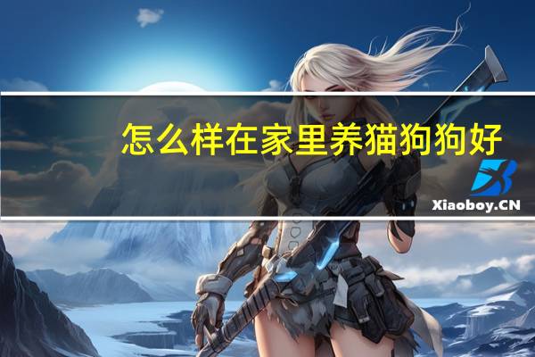 怎么样在家里养猫狗狗好