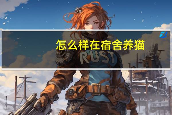 怎么样在宿舍养猫