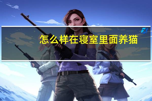 怎么样在寝室里面养猫