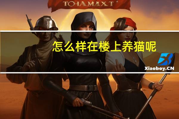 怎么样在楼上养猫呢