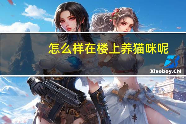 怎么样在楼上养猫咪呢