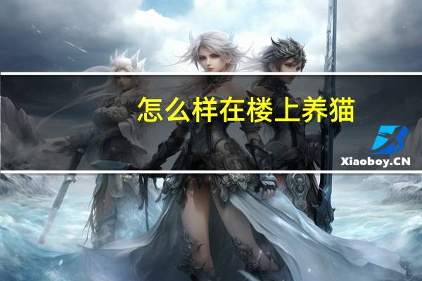 怎么样在楼上养猫