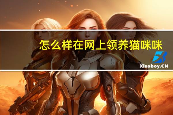 怎么样在网上领养猫咪咪