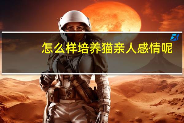 怎么样培养猫亲人感情呢