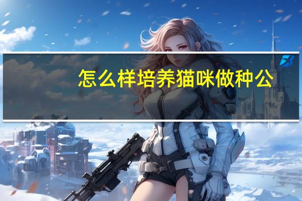 怎么样培养猫咪做种公