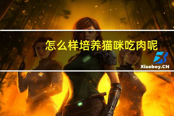 怎么样培养猫咪吃肉呢