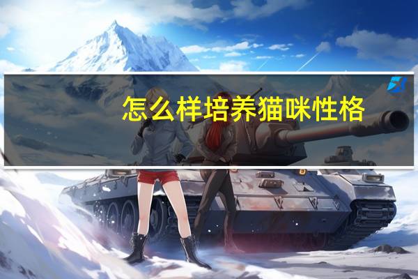 怎么样培养猫咪性格