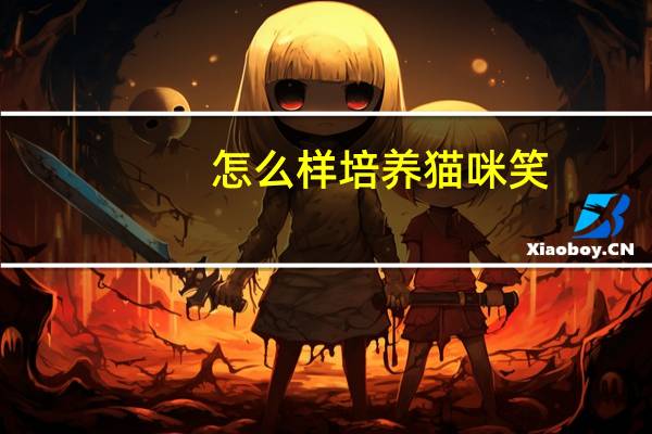 怎么样培养猫咪笑