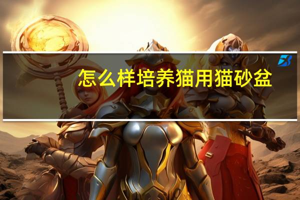 怎么样培养猫用猫砂盆