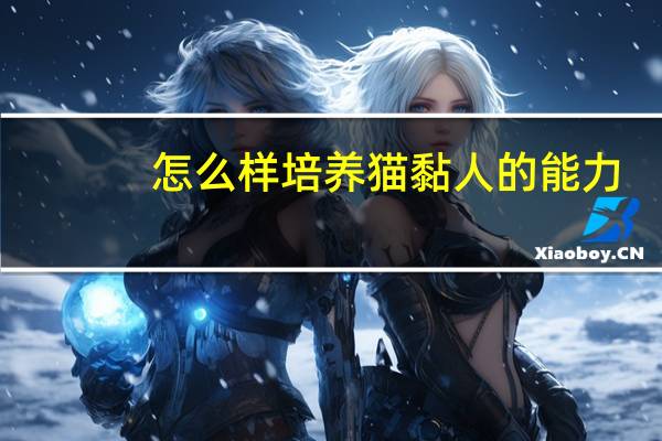 怎么样培养猫黏人的能力