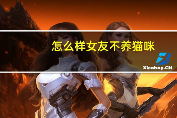 怎么样女友不养猫咪