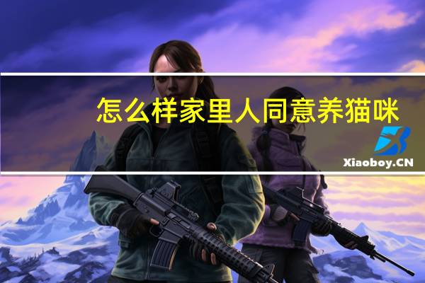 怎么样家里人同意养猫咪
