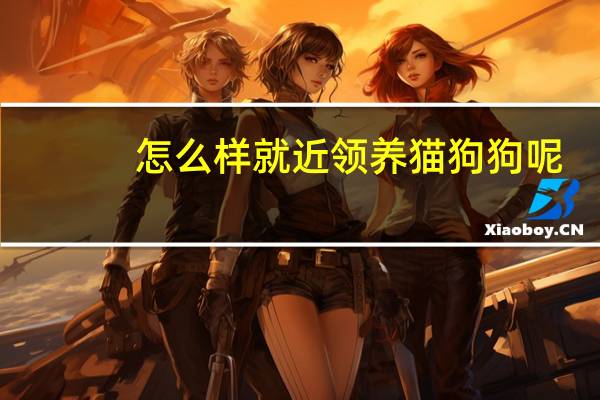 怎么样就近领养猫狗狗呢
